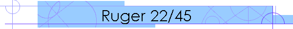 Ruger 22/45